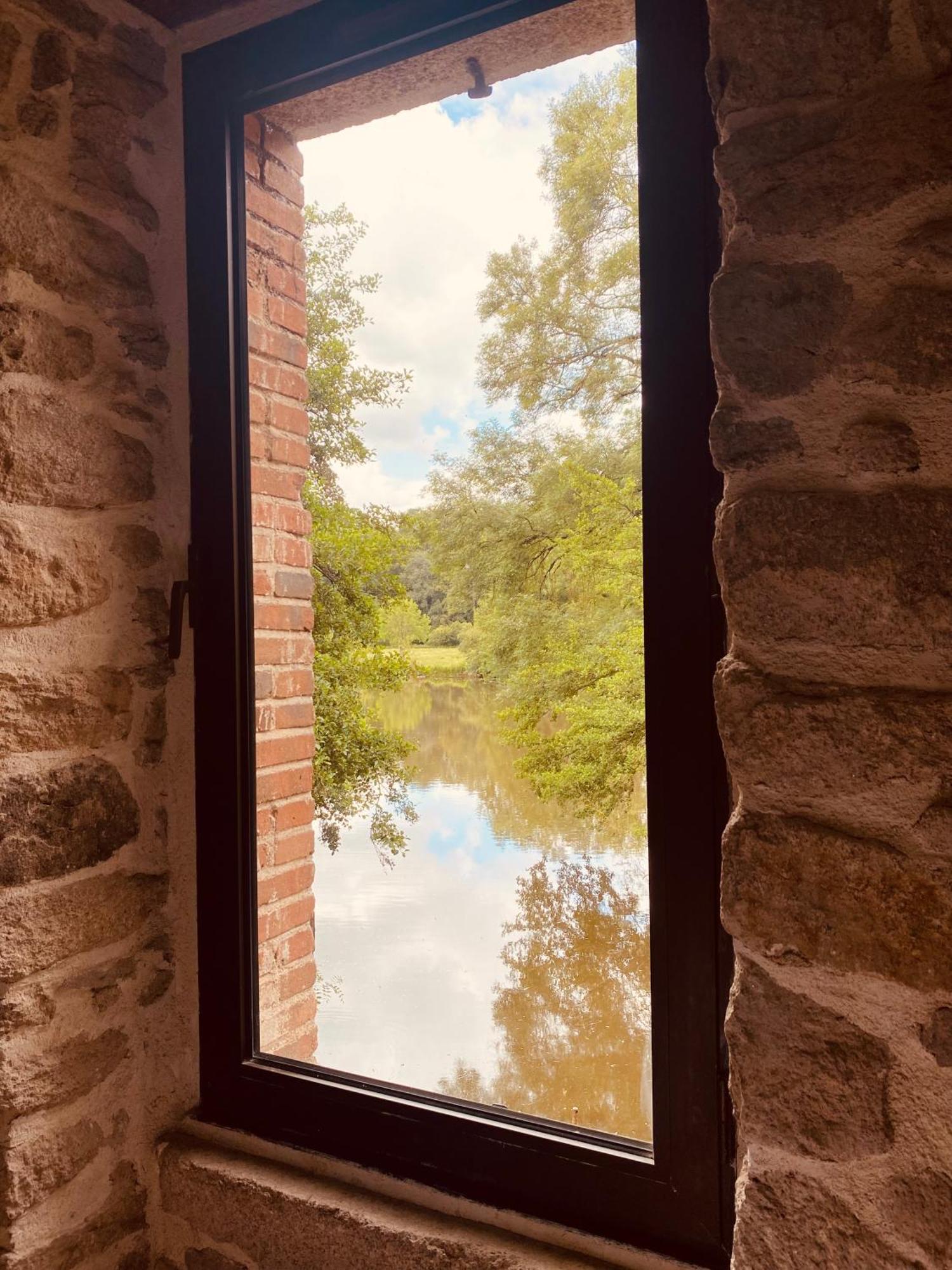 Le Moulin Du Guy, Proche Du Puy Dufou